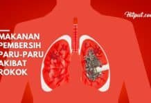 4 Makanan Pembersih Paru-Paru Perokok, Wajib Diketahui! makanan pembersih paru paru