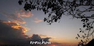 Cekrek…Cekrek….Upload… Yang Berkualitas!