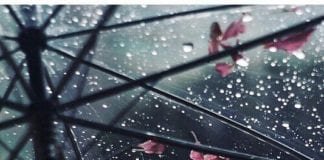 Tips Menghadapi Musim Hujan