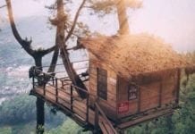 Bingung Mau Berlibur Kemana? Wisata Omah Kayu Di Batu Malang Ini Bisa Jadi Pilihanmu