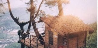 Bingung Mau Berlibur Kemana? Wisata Omah Kayu Di Batu Malang Ini Bisa Jadi Pilihanmu