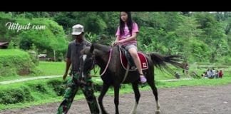 Sejuknya Berlibur di Hotel Sahid Eminence Puncak Cipanas