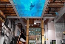 Hotel Posto Dormire: Nikmati Hotel Artistik Dengan Gaya Hidup Artainment Terbaik Posto Dormire Jakarta, Hotel dengan Kolam Renang Transparan Pertama di Indonesia. Image: travelingyuk.com