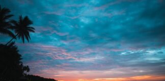 Arborek, Desa Wisata yang Indah di Raja Ampat Pulau Arborek Yang Indah Mempesona di Raja Ampat