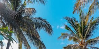 Inilah 4 Tempat Menginap Yang Indah di Gili Trawangan