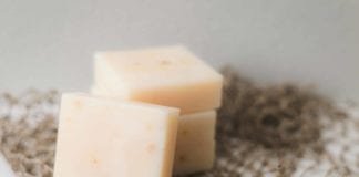 Penyuka Keju? Simak Ulasan Tentang Jenis dan Harga Keju Prochiz Terbaik Ilustrasi gambar beberapa potong keju