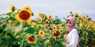 5 Pantai di Jogja yang Cantik dengan Nuansa Berbeda