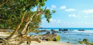 3 Pantai Indah di Jogja dengan Alam Asli Terjaga pantai di jogja