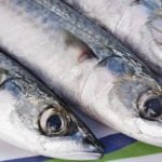 7 Manfaat Ikan Kembung Untuk Kesehatan, Buktikan Sendiri! ikan kembung