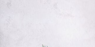 Mengenal Tanaman Eucalyptus dan Berbagai Manfaatnya Mengenal Tanaman Eucalyptus dan Berbagai Manfaatnya