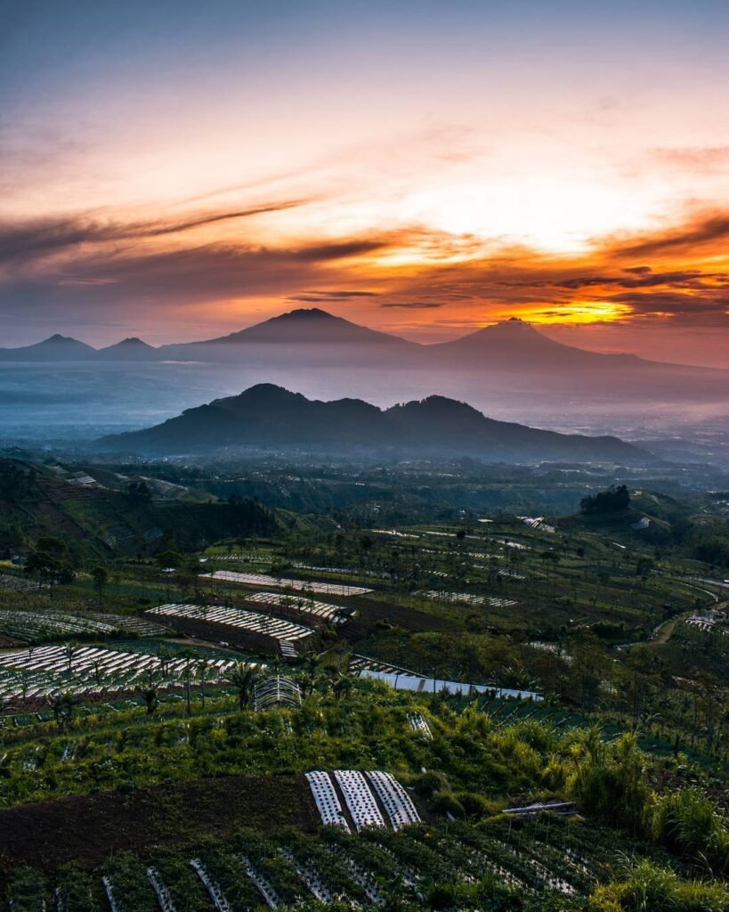 Wisata Lereng Gunung Sumbing