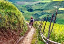 Desa Wisata Digital Nomad Terjangkau dan Indah di Indonesia desa wisata digital nomad