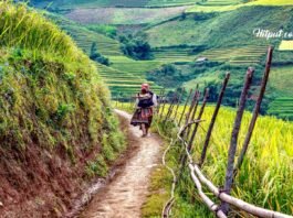 desa wisata digital nomad