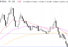 Cara Trading Forex untuk Pemula, Istilah dan Panduan Lengkap cara trading forex