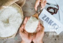 Apa Itu Zakat Fitrah? Panduan Lengkap tentang Zakat Fitrah panduan zakat fitrah