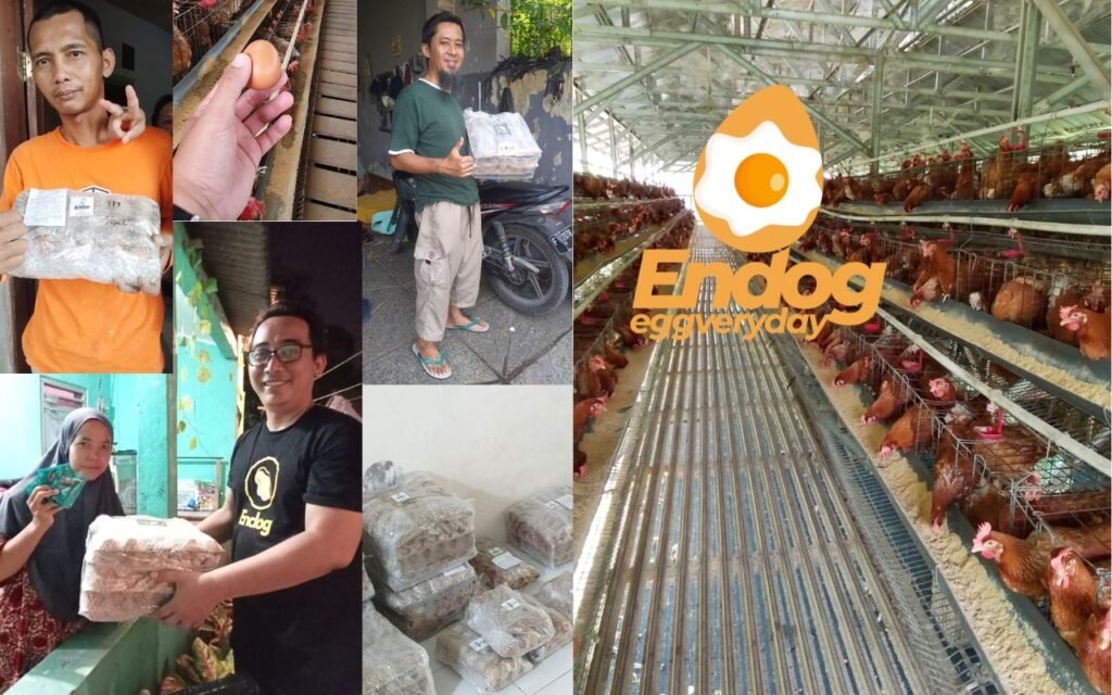 harga telur ayam di bogor